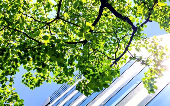 大企業の人が中小企業に転職する不安を軽減してうまくやっていくには