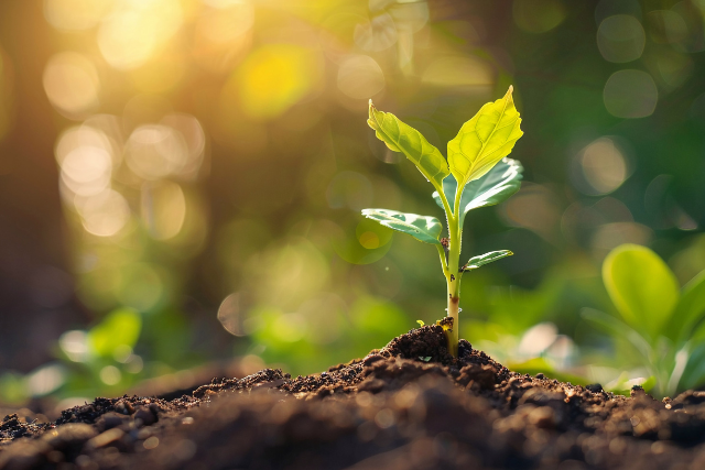 「求められる人材」として活躍するためのマインドセットとコツ