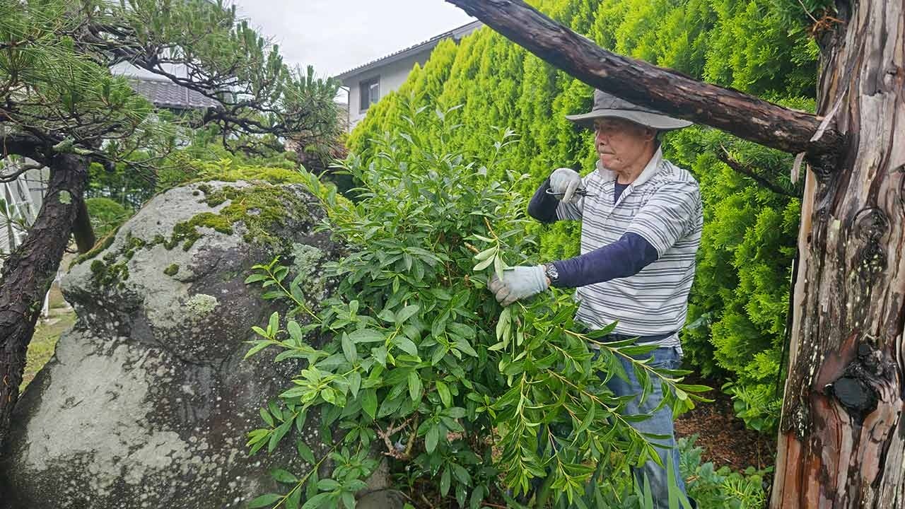 参考記事のご紹介（日経ビジネス）